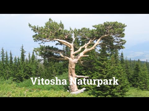 Vitosha Naturpark