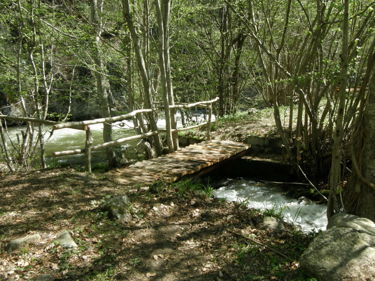 At the Rila river - Photo: Rila Monastery Nature Park Directorate