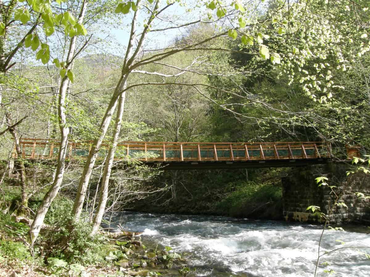 At the Rila river - Photo: Rila Monastery Nature Park Directorate