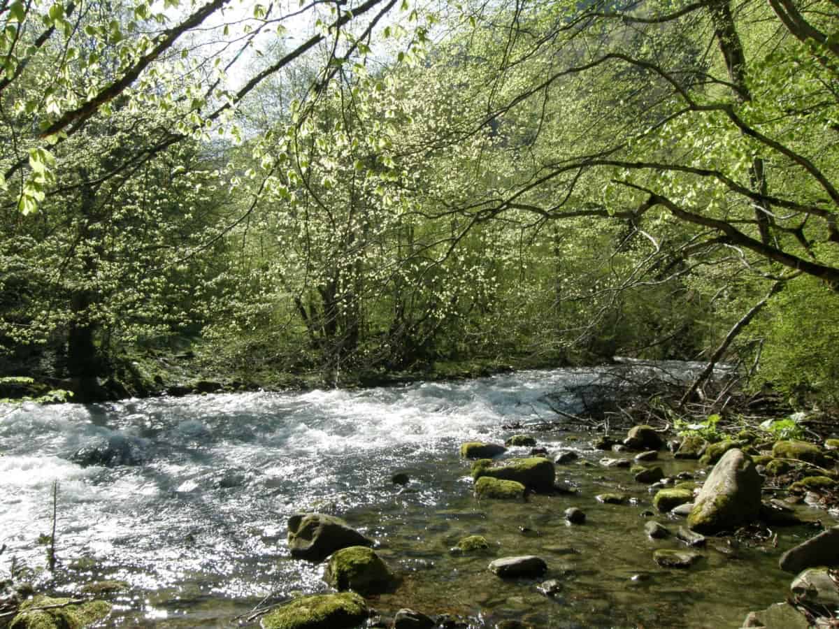 At the Rila river - Photo: Rila Monastery Nature Park Directorate