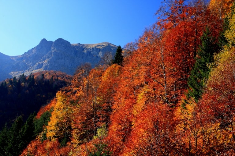 Herbst im Tazha-Gebiet - Foto: Nationalpark Zentrales Balkangebirge