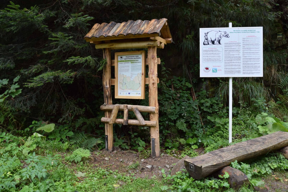 Bear action information - Photo: Central Balkan National Park/Stoyan Hristov