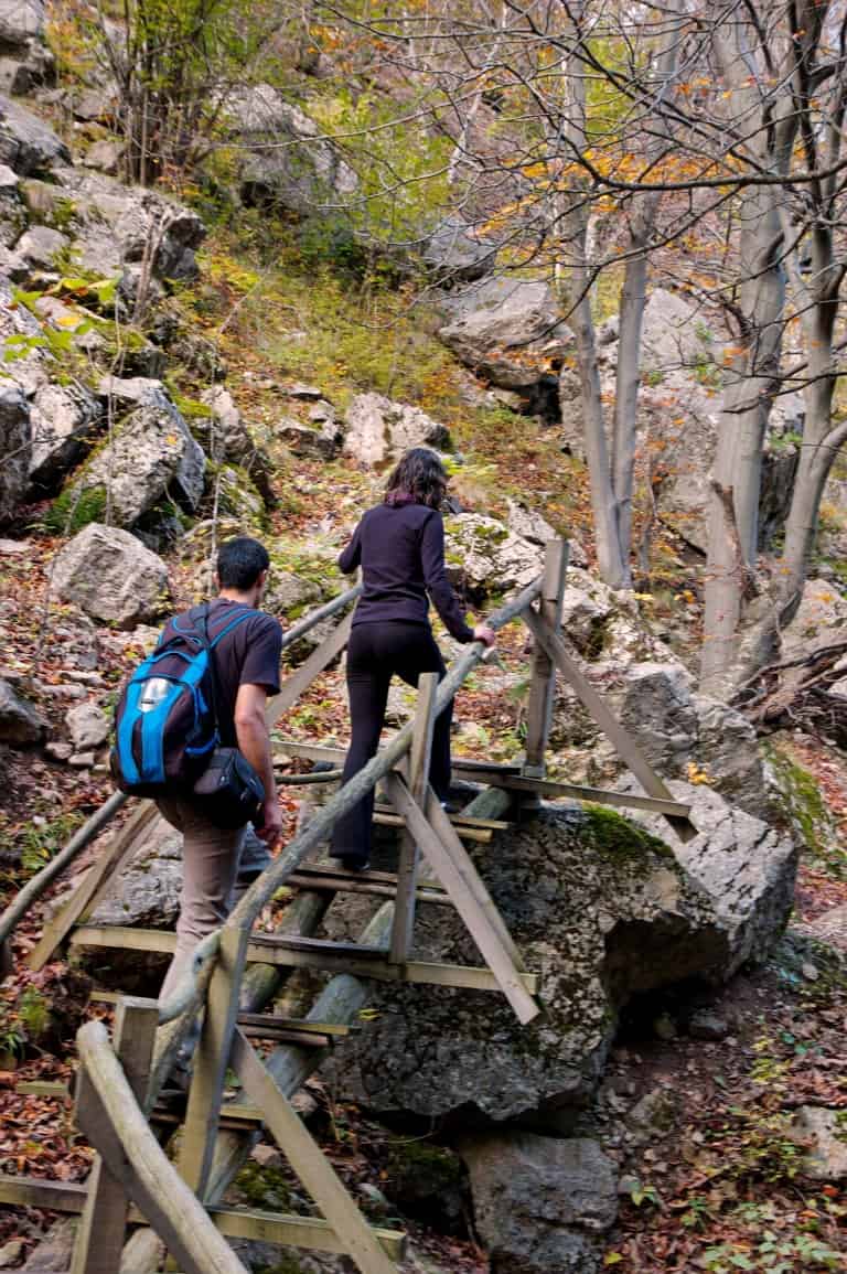 Eco trail “Borov kamak” - Foto: Naturpark Vachranski Balkan/Krasimir Lakovski