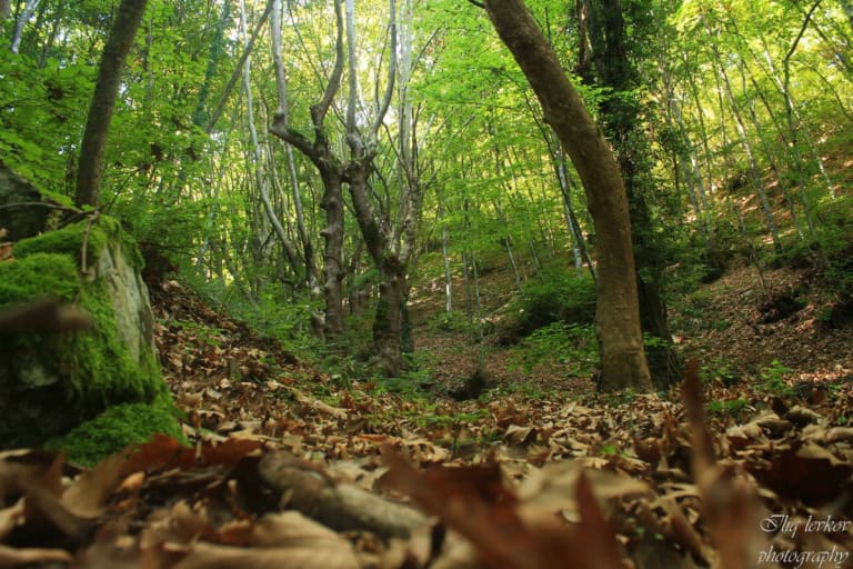 Landschaft - Foto: Belasitsa Naturpark/Ilia Levkov