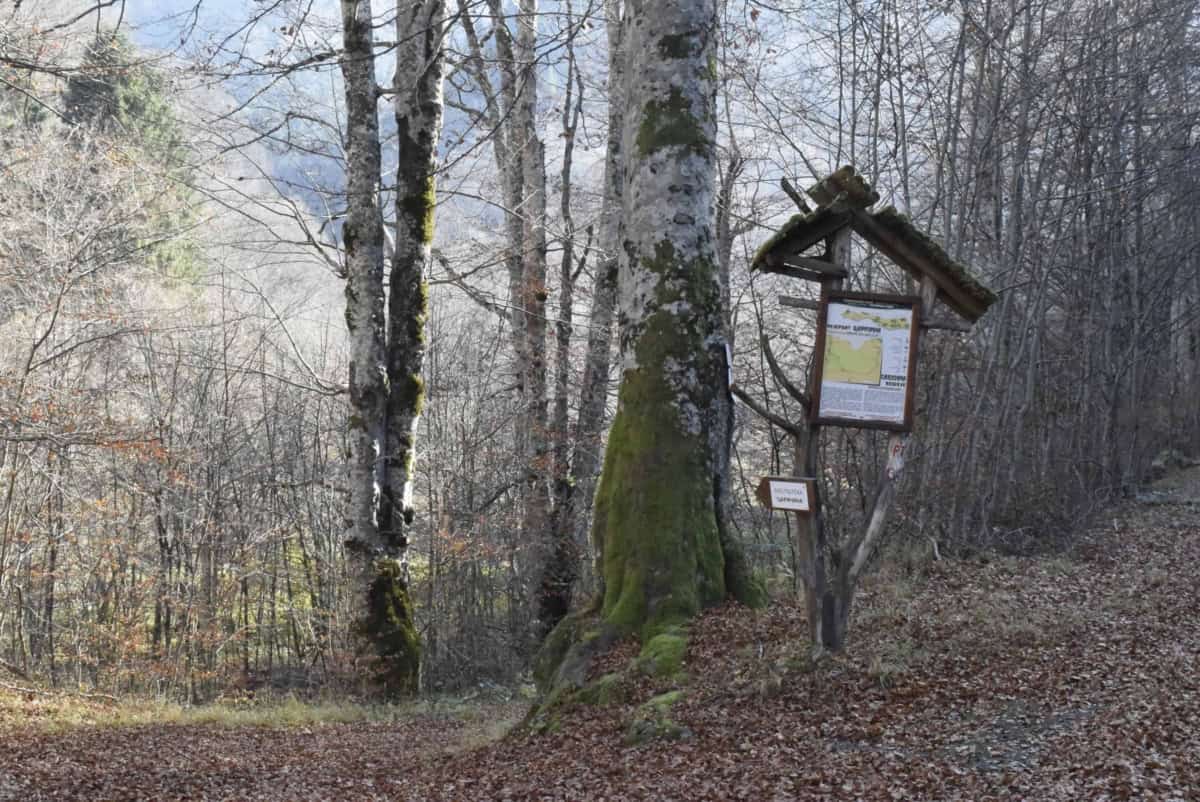 Information board - Photo: Central Balkan National Park/Stoyan Hristov
