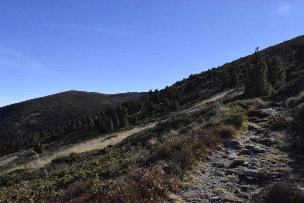 Part of the path - Photo: Central Balkan National Park/Stoyan Hristov