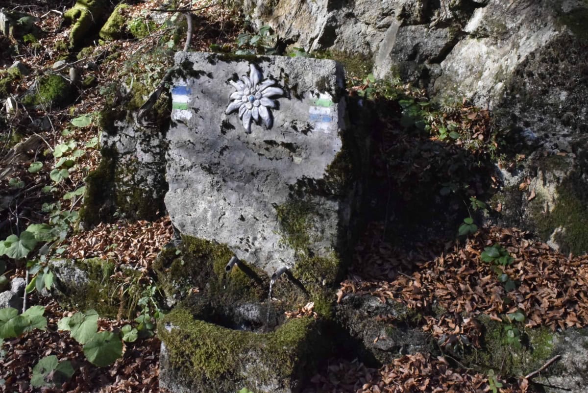 Rest area - Photo: Central Balkan National Park/Stoyan Hristov