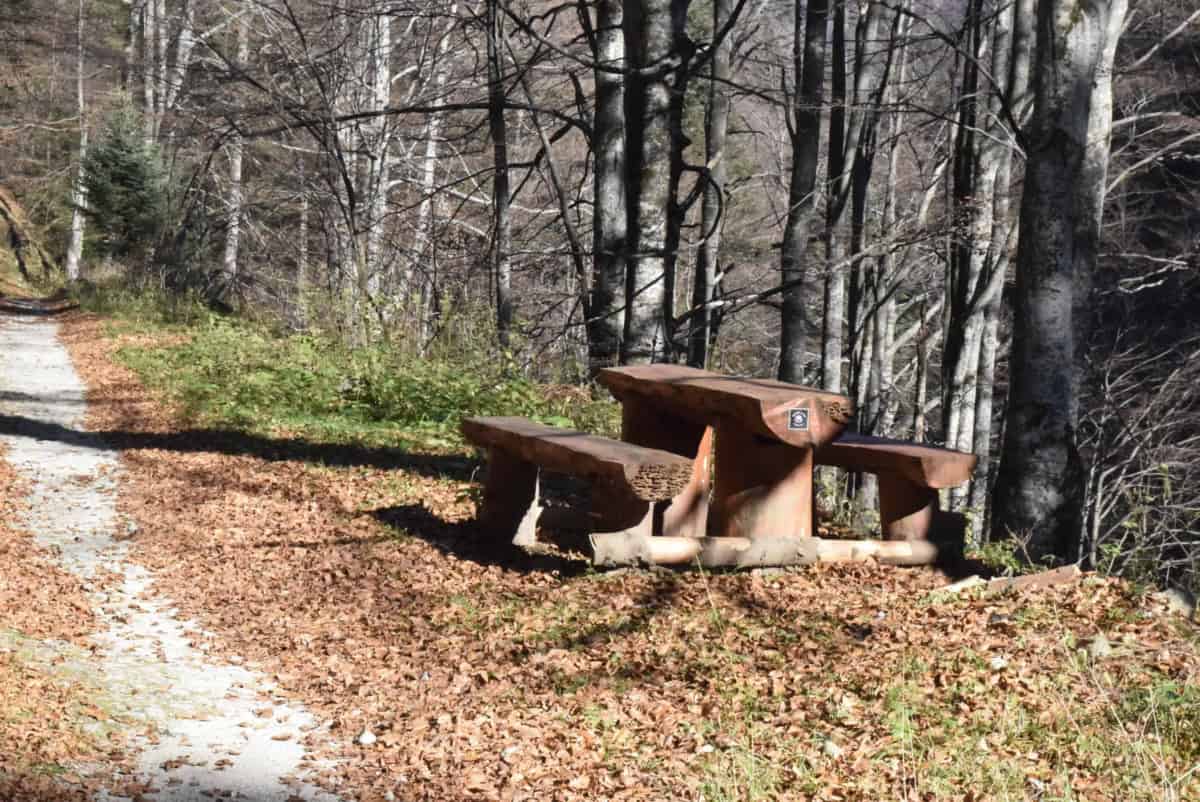 Rest area in Tsarichina Nature Reserve - Photo: Central Balkan National Park/Stoyan Hristov