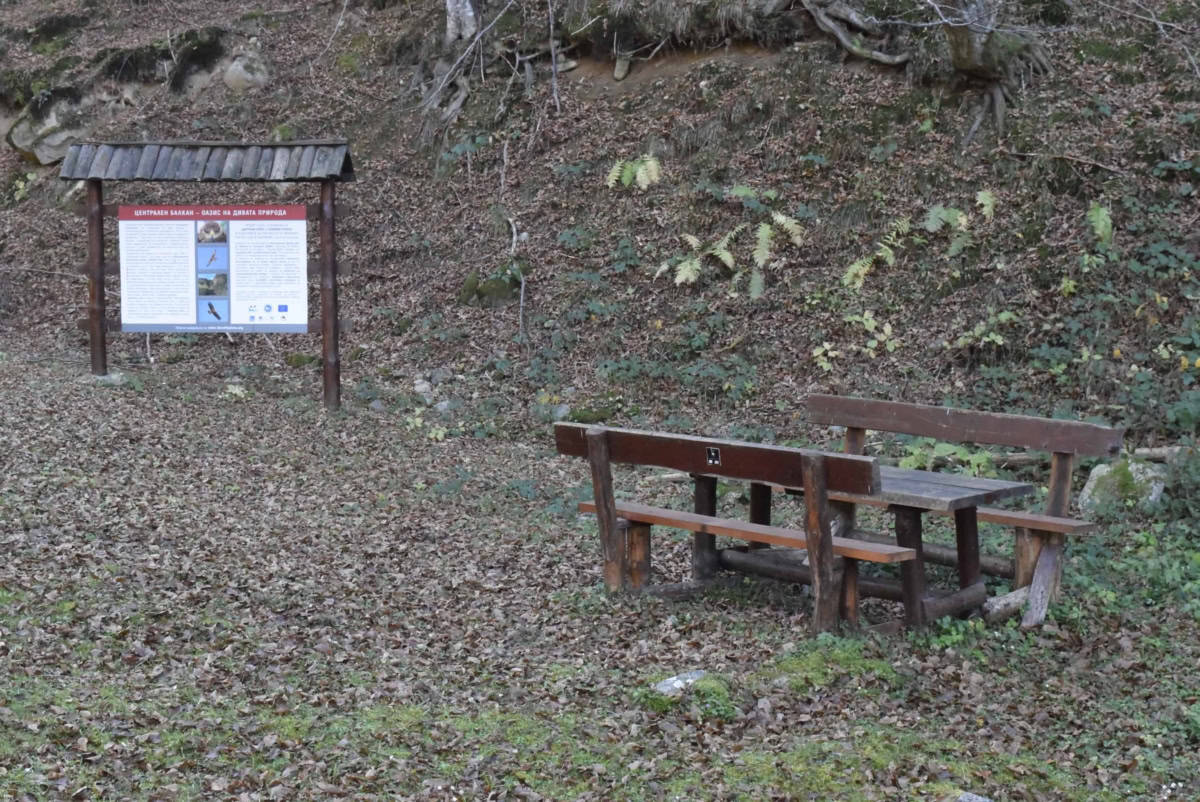Rest area in Tasrichina Nature Reserve - Photo: Central Balkan National Park/Stoyan Hristov