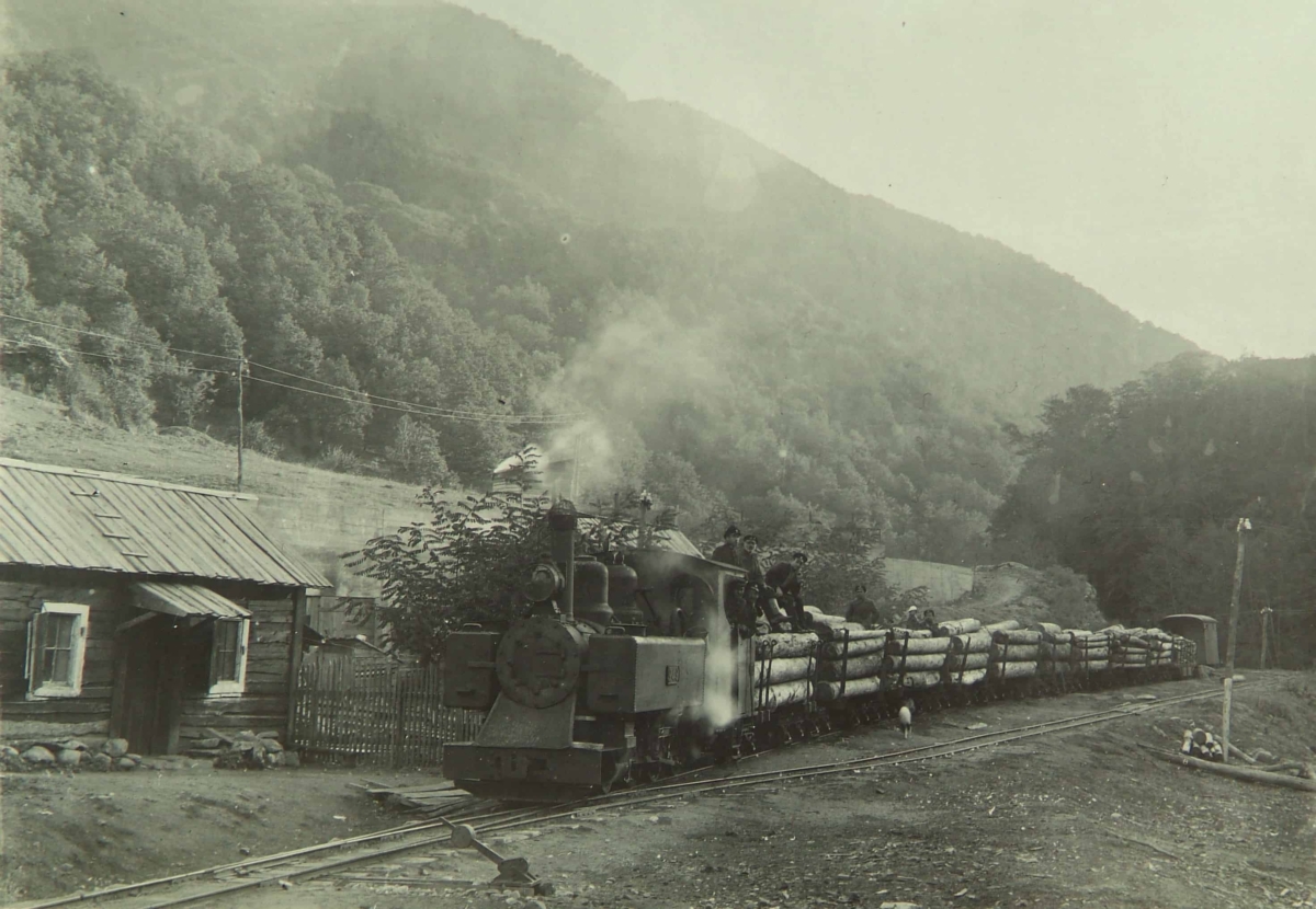The old narrow-gauge railway (historic photo) - Photo: Rila Monastery Nature Park Directorate