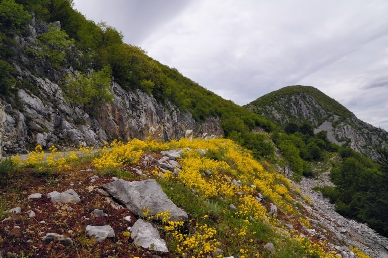 Die Straße zum Vola-Gipfel - Foto: Vrachanski Balkan Naturpark