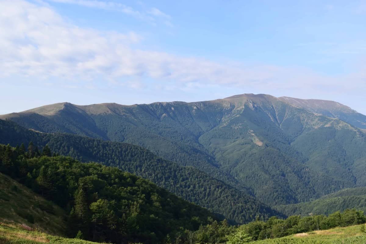 Scenic view from the path - Photo: Central Balkan National Park/Stoyan Hristov