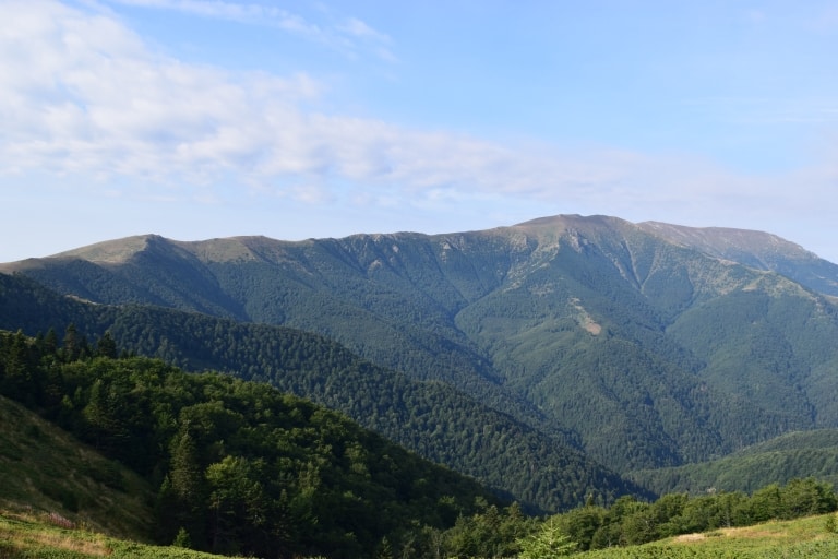Aussicht vom Pfad aus - Foto: Nationalpark Zentralbalkan/Stoyan Hristov