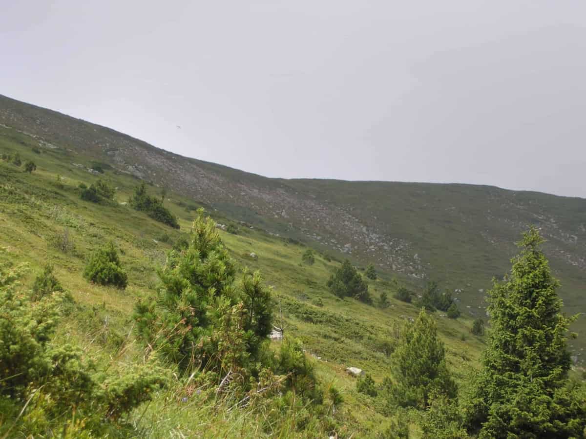 Scenic view from the path - Photo: Central Balkan National Park/Stoyan Hristov