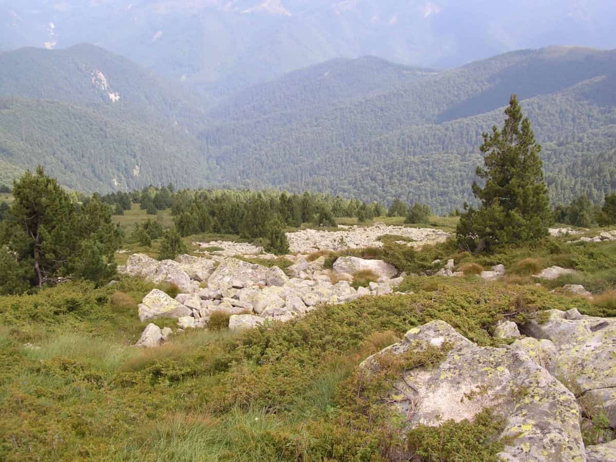 Scenic view from the path - Photo: Central Balkan National Park/Stoyan Hristov