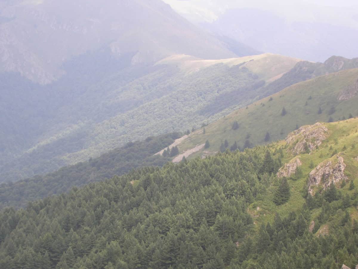 Scenic view from the path - Photo: Central Balkan National Park/Stoyan Hristov