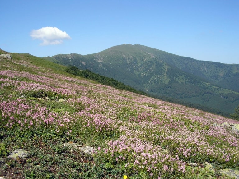 Aussicht vom Pfad aus - Foto: Nationalpark Zentralbalkan/Stoyan Hristov