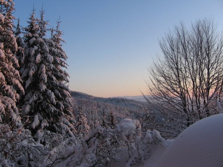 Winter - Foto: Vitosha Naturpark